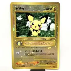 旧裏　ポケモンカード　プレミアムファイル　ピチュー　全面キラ　ホロ
