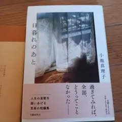日暮れのあと