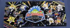 フレッシュオールスター 2025 タオル