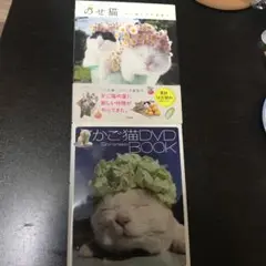 のせ猫 : かご猫シロの里便り