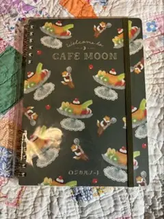 Item thumbnail for item da8ae6b0-0b29-4098-bda0-03d4010e66b4