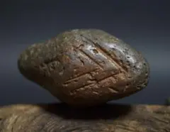 Item thumbnail for item 47904405-0daf-491a-a9c5-87a64f6d16ef