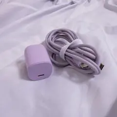 Type-C充電器 ケーブル&タップ パープル