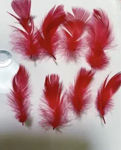 Item thumbnail for item 9ee05b14-a85b-4209-b587-80851f0ca5bd