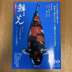 鱗光　2022年10月