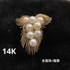 Item thumbnail for item f1d0ca25-2858-403d-a7c7-be80c084fc3b