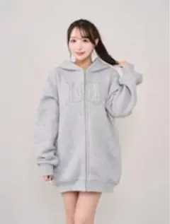 Darich ダーリッチ DDロゴビジュージップパーカー GRY
