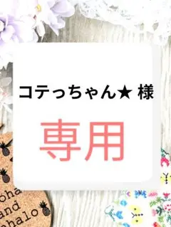 コテっちゃん★ 様　専用ページ