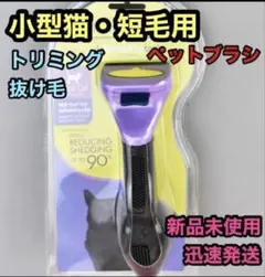 Item thumbnail for item 508e641e-a152-4966-93af-7d0994e55162
