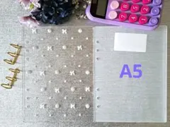 Item thumbnail for item 1bf2add1-d479-4558-9bd9-8c47589e5a96