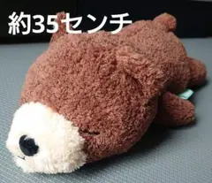 すやすやねむっこ　AMUFUN クマ　ぬいぐるみ　未使用