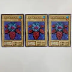 【psa10】ヒトデンチャク　初期　vol.1 遊戯王 初期②