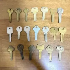 Item thumbnail for item 4b6d813b-8516-4b64-8934-04d00b07a6a1