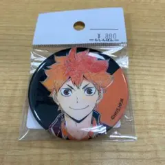 ハイキュー　TO THE TOP 日向翔陽