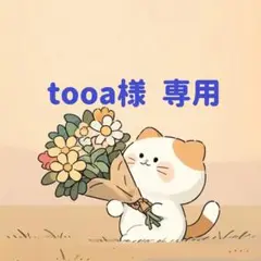 tooa様　専用(8/25迄)