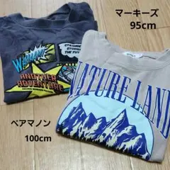 Item thumbnail for item 0deddcd7-9c24-479d-ae3e-3fb4475acda6