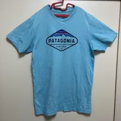 patagoniaパタゴニア フィッツロイ クレスト TシャツS