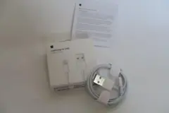 Apple Lightning to USB Cable (1 m)
