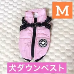 Item thumbnail for item dd5bc28d-0258-4c90-bfdc-02bc7b835a9d