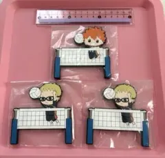 ハイキュー　マグネット　日向翔陽　月島堂　3点セット