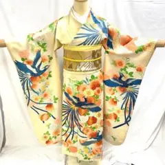 【振袖15】着物 振袖 正絹 袷 着物 尾長鳥 菊 単品販売 ~155cm