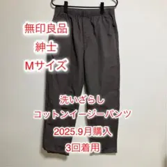Item thumbnail for item 92e05fab-be71-41b1-8570-a6b68660512f