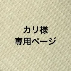 専用ページ