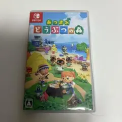 あつまれ どうぶつの森 Nintendo Switch