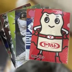 ヤクルトスワローズ　クリアファイル　6枚セット