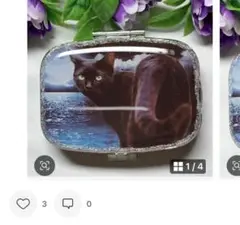 ⚠️8月限定SALE⚠️ ハンドメイド レジン 黒猫 ピルケース