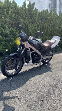 vtz250羽テール（黒色） VTZ250遂に完成！外装も仕上がりました。ヤフオクで買ったバイク