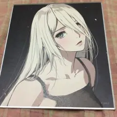 NieR ニーア展 消セナイ記憶 ミニ 色紙コレクション A2