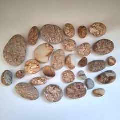 糸魚川産 姫川薬石 流紋岩 395g