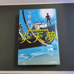 炎天夢