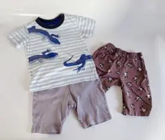 PETIT BATEAU リザード柄 Tシャツとショートパンツセット 110cm