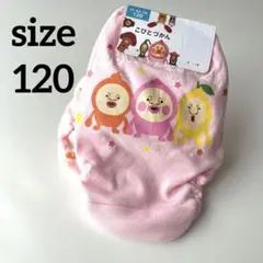こびとづかん　キッズ　2枚組ショーツ　120