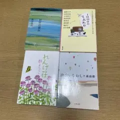 文学作品セット（対岸の彼女など）