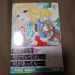 どうも、悪役にされた令嬢ですけれど 4