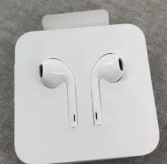 Apple EarPods (USB-C) MYQY3FE/A