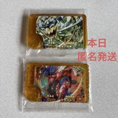 ポケモンフレンダBT1弾スーパートレジャーコライドンLオーガボンLレガシーピック