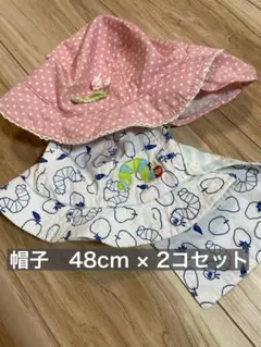 【8/31まで】帽子48cm×2コセット　はらぺこあおむし