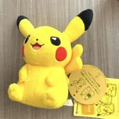 マイピカチュウ
