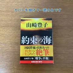 「約束の海」　 山崎豊子