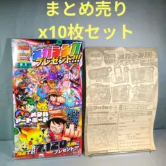 まとめ売りx10セット　メガシンカプレゼント　応募シート　応募要項チラシ　２点