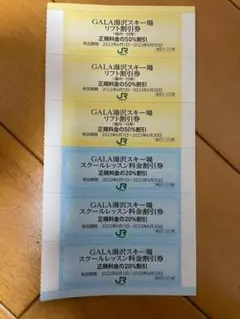 送料込!ガーラ湯沢スキー場リフト割引券3枚
