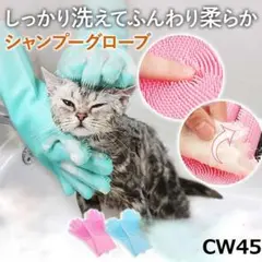 Item thumbnail for item 1ac3fe52-0ed9-467e-8256-86c2fa6b4556