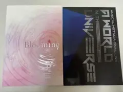 ヘタミュ　ヘタライ　フォトブック　ビジュアルブック