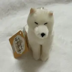 ほっこり秋田犬はち兵衛　マスコット　ぬいぐるみ