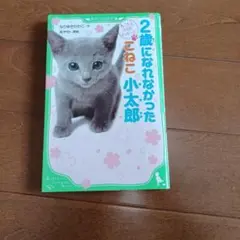 2歳になれなかったこねこ小太郎 : ねこたちからのメッセージ