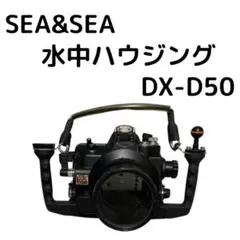 Item thumbnail for item 4d3d78eb-5678-443a-a32a-fce2d2cb0d16